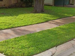Lisa S.'s Lawn Mowing Service service result