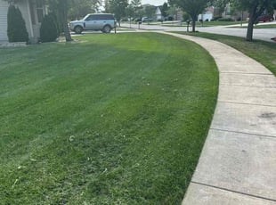 Barbara J.'s Lawn Care service result