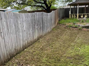 Leaf Removal by Cameron Mitchell for Craig R. in Arlington, TX