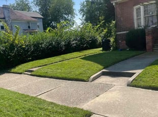 Clarence H.'s Yard Cutting service result