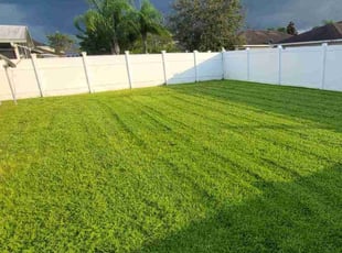 Scott B.'s Lawn Mowing service result