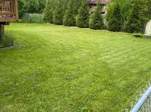 Tim C.'s Yard Cutting service result