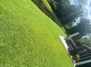 Susan C.'s Lawn Mowing Service service result
