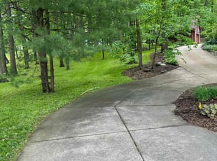 Daniel R.'s Yard Cutting service result