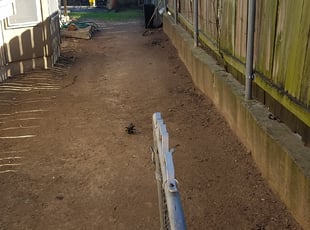 Leaf Removal by Romeo Perez for Catherine C. in Austin, TX