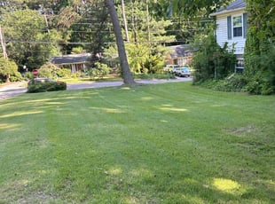 Wyatt M.'s Lawn Service service result