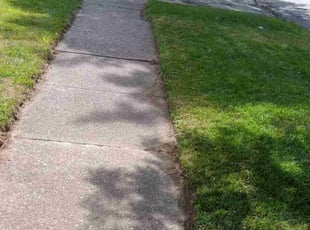 Lauren T.'s Yard Cutting service result