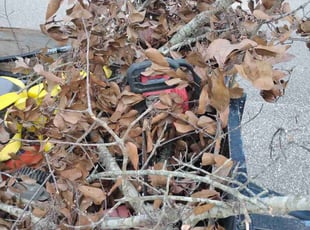 Cleanups by Cynthia Freeman for Katelin M. in Mobile, AL