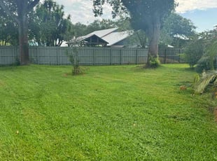 Donald S.'s Lawn Mowing service result