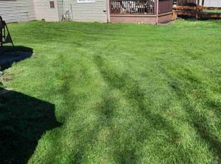Gail G.'s Lawn Care service result