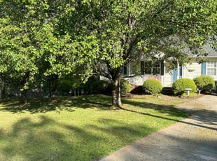 Paul C.'s Lawn Mowing service result