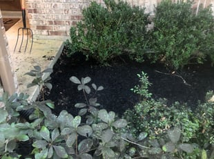 Mulching by Yardsy Fardsy Incorporated for Gretchen T. in Pearland, TX