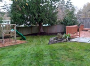 Leaf Removal by Stacie Jackson for Thillaiappan S. in Kirkland, WA