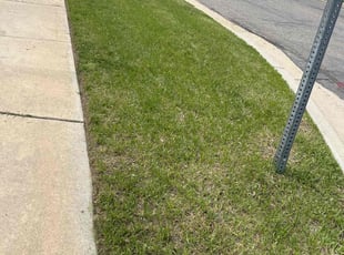 Dongseon P.'s Lawn Care service result