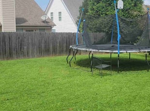 Katherine H.'s Lawn Maintenance service result