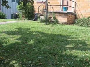 Cleanups by Bree Smith for Mary P. in New Albany, IN