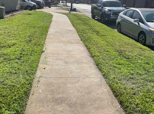 Michael S.'s Lawn Mowing service result