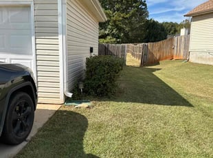 Bush Trimming by Tomika Carter for Cheick S. in Stockbridge, GA