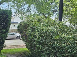 Bush Trimming by Robert Dowdy for Doreatha M. in Milwaukee, WI
