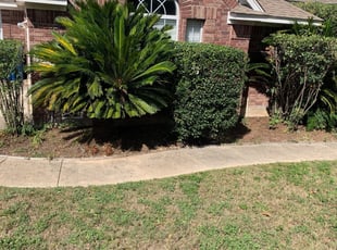 Bush Trimming by Noe Perez for Matthew T. in San Antonio, TX