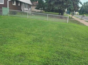 Donna C.'s Cleanups service result