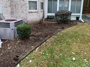Weeding by Valera Swearngin for Andrew B. in Chesapeake, VA
