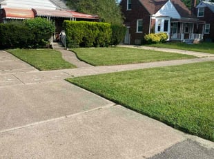 Laura G.'s Lawn Maintenance service result