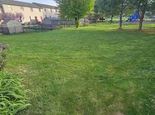 Kathy C.'s Lawn Mowing service result