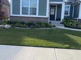 Michelle B.'s Lawn Mowing Service service result