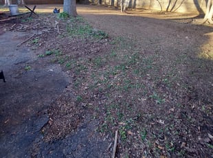 Leaf Removal by Sean Johnson for Joseph M. in Greenville, SC