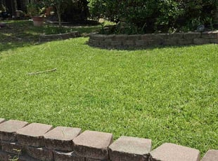 Michael B.'s Lawn Care service result