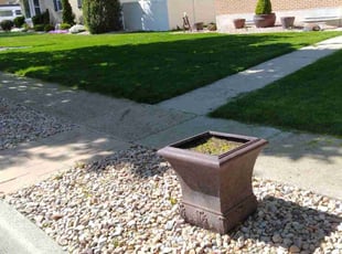 evelyn c.'s Yard Cutting service result
