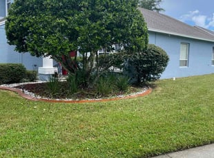 Charmaine S.'s Lawn Mowing service result