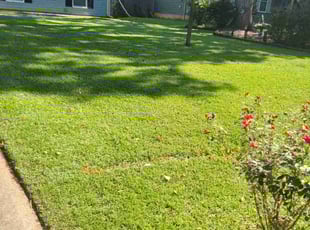 Chris T.'s Lawn Care service result