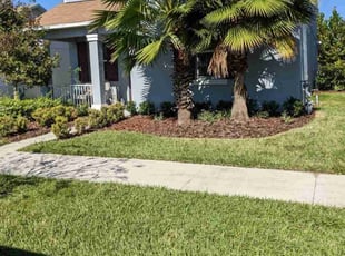 Bush Trimming by Louis Reele for Karen M. in Land O' Lakes, FL