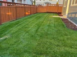 Tyler S.'s Grass Cutting service result