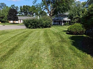John C.'s Lawn Care service result