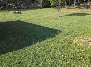 Monty B.'s Lawn Mowing Service service result