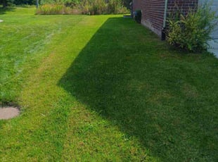 Bush Trimming by Jonathan Stevens for Ian C. in Clinton Township, MI