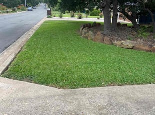 Shalee G.'s Lawn Mowing service result