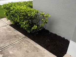 Bush Trimming by Paul Bartholomew for Courtney S. in Palm Bay, FL