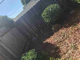 Bush Trimming by Juan Rodriguez for Marva M. in Sacramento, CA