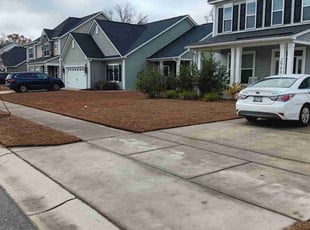 Tekia H.'s Lawn Maintenance service result