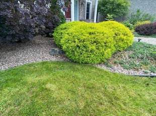 Weeding by Malcolm Bynum for July H. in Manlius, NY