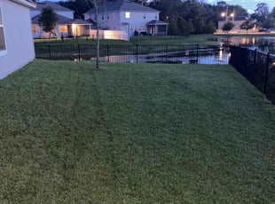Stacy B.'s Lawn Mowing Service service result