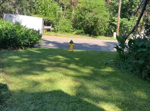 Trisha M.'s Lawn Mowing service result