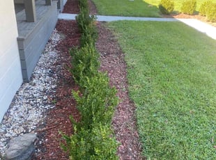 Weeding by Tarren Hanford for Quinn B. in Baton Rouge, LA