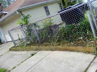 Weeding by Miriam S Rivera Ordonez for Nick L. in Chicago, IL