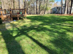 Matt H.'s Yard Cutting service result