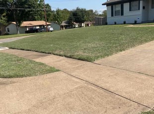 Susan B.'s Lawn Service service result